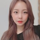 하콩이네 이미지