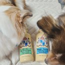 브리더독 | [제품후기] 셀티 강아지 샴푸 추천 크라운로얄 바이오바이트 단백질샴푸