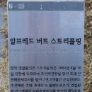 -21- - B -29- "알프레드 버트 스트리플링"(Alfred Burt Stripling) "설필림"(薛必林) 이미지