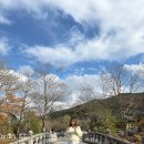 양산 이색 데이트 통도사 템플스테이 휴식형 불소원 체험 후기 및 비용, 설법전 가는 길