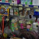 현대애견사료 이미지