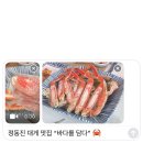 강릉 정동진 대게 오션뷰 식당 맛집 가성비 바다를 담다 내돈내산 솔직후기