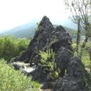 산수정원 이미지