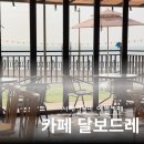 달보드레 | 영흥도 애견동반카페,서해일몰과 디저트맛집 카페달보드레후기
