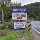 훼미리낚시터 이미지