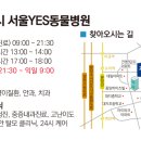 24시예스동물병원 이미지