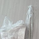 리틀베베 | 리틀베베 아기침대 대여 사용 후기