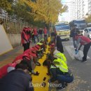 옐로카펫 이미지