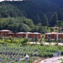 나무숲펜션 이미지