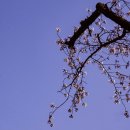 선경화학