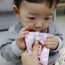 릴리네일즈 | 이유식 용기 세이지스푼풀 240ml용량이라 후기이유식용기로 굿