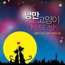낭만고양이 - 청주시 청원구 | 낭만고양이