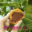 최고의 맛집 소개! 구로 개봉역 수밀 블랑제리 캉파뉴과 깜파뉴 치아바타샌드위치, 생활의달인 탐방기