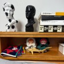 S-TUNE | 추천 * 장원영 스컬판다 키링 겨울 교향곡 시리즈 시크릿 내돈내산 미개봉 랜덤 6박스 인형 언박싱 후기