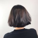 보니예 이미지