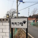 퍼피랑 | 태안펜션::퍼피그램::애견펜션::내돈내산후기