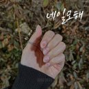 네일모해 이미지