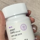 본아페티 조인트캡스포캣 | 고양이슬개골영양제 사용 후기