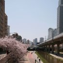 오시게로 이미지