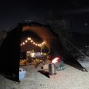 더포레스트 이미지