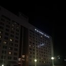 글래드호텔앤리조트(주)메종글래드제주 | 제주 태교여행 / 공항 근처 숙소 추천! 가성비 5성급호텔 메종글래드 숙박후기