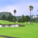 그린힐골프 이미지