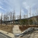 남산 그라운드 골프장 이미지