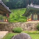 천은사 - 1455 | 천은사