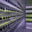 김상범 농장 이미지