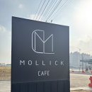 삼남로 | 맛집 | 제주 감성 그대로! 평택 감성카페 &#39;카페 몰릭&#39; 솔직 후기