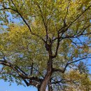 봉양3길 이미지