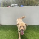 포우농장 이미지