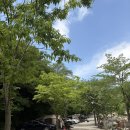 든해솔 | 🌿산청 든해솔 캠핑장 후기 | 계곡·그늘·수영장까지! 아이와 가기 좋은 경남 캠핑장🏕️
