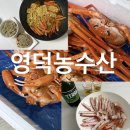 맛있게싸게 홍게대게 | 영덕농수산 가성비 홍게 1kg 시세 부담없이 즐길 수 있는 곳 찌는시간, 홍게 내장 검정색 갈변