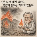 2025년 3월 31일 오늘의 뉴스