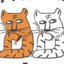 호담시