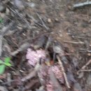 노와2리마을회관 이미지