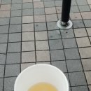 여우찜닭 이미지