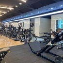 브라운 휘트니스 이미지