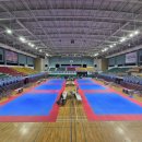 대성태권도 이미지