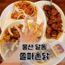 쫄파촌닭 이미지