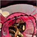 개나리낚시공원 이미지