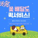 창동퀵서비스 이미지