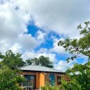 제주윤채 이미지