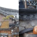 순창명가전통식품 이미지