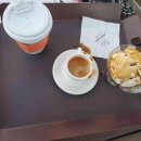 애기 강아지 반려견전문샵 이미지