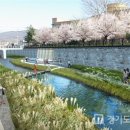 산본천 이미지