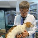 성 수의과병원 이미지