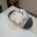 [부천 왁싱] 비비 왁싱 여름 필수템 왁싱 장점 및 추천, 하나도 안아픔 진심 100%