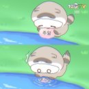 [자격증] 파생상품투자자문권유인력 합격 후기💙(직장인 ver.)